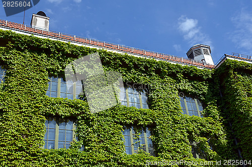 Image of Natural History Museum at the University Botanical Garden in Oslo 