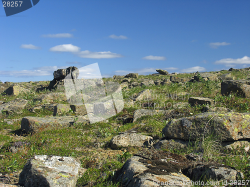 Image of Scattered stones