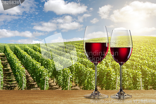 Image of Glass of red wine against vineyard