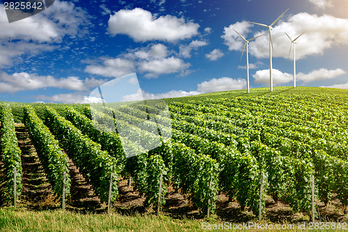 Image of Wind generators turbines on summer landscape