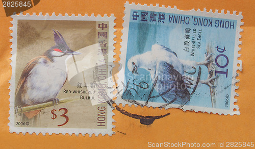 Image of Chinese bird stamps