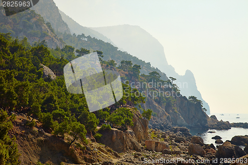 Image of Coastal Landscape