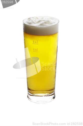 Image of Beer