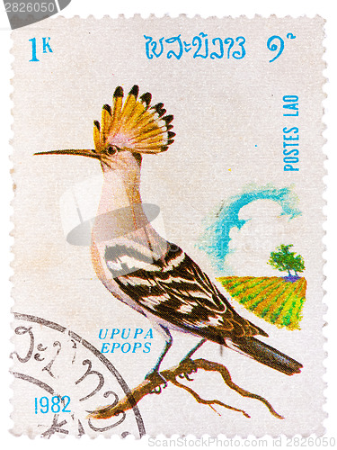 Image of Stamp printed in LAOS shows Hoopoe (Upupa epops), from series Bi