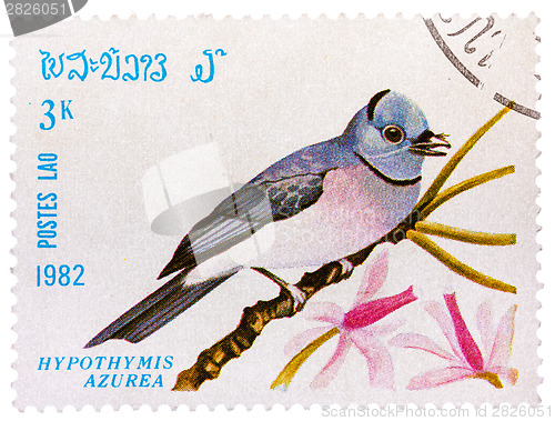 Image of Stamp printed in LAOS shows Black-naped Monarch,(Hypothymis azur