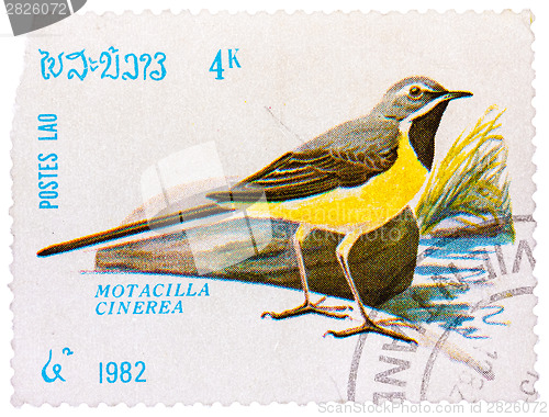 Image of Stamp printed in LAOS shows Grey Wagtail (Motacilla cinerea)