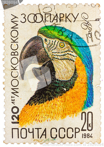 Image of Stamp printed by Russia showing parrot, 120-th anniversary of th