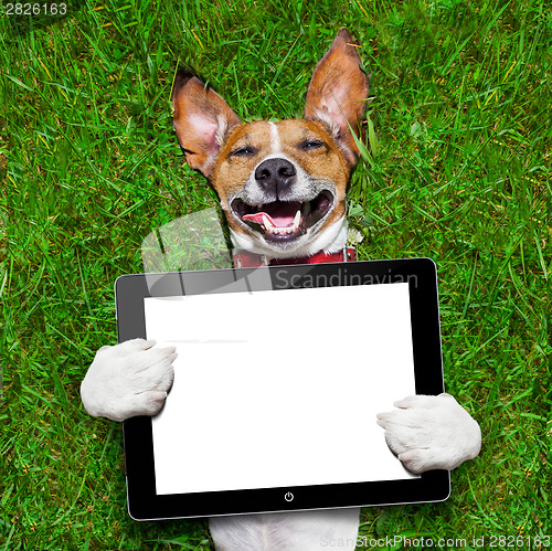 Image of dog holding tablet