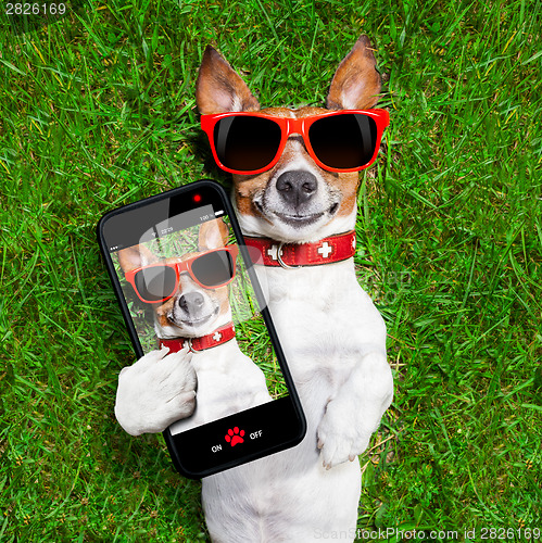 Image of funny selfie dog