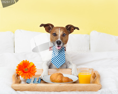 Image of breakfast in bed