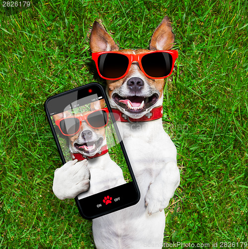 Image of funny selfie dog