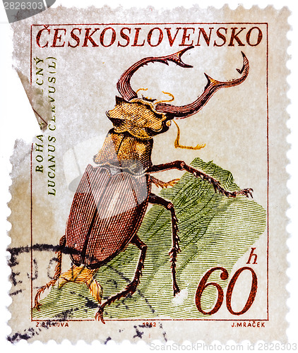 Image of Postage Stamp Printed By Czechoslovakia, Shows Stag Beetle