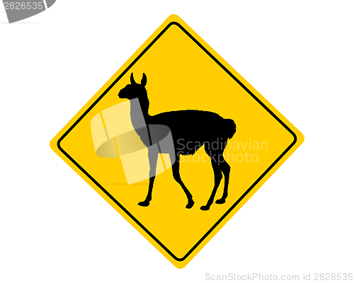 Image of Guanaco warning sign