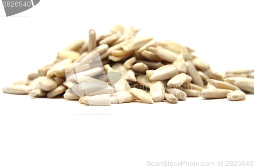 Image of Detailed but simple image of sunflower seed