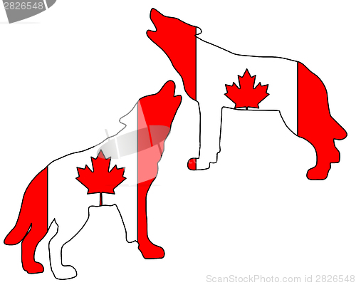 Image of Canadian howling wolves