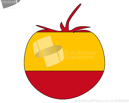 Image of Spanish tomato