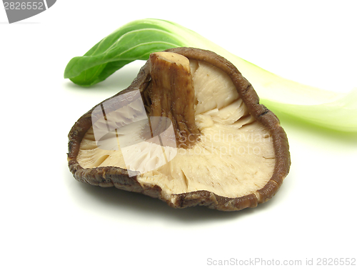 Image of Shiitake and pak choi on white background