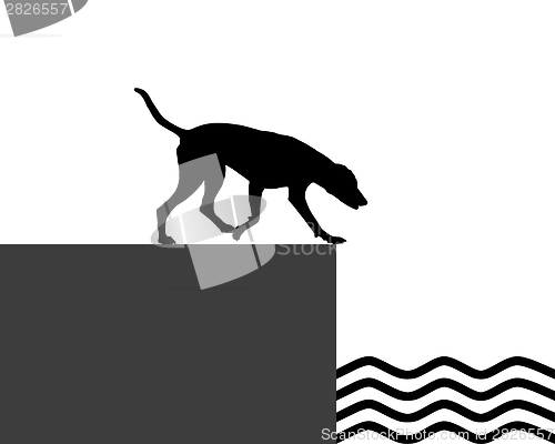 Image of Dog at the shore