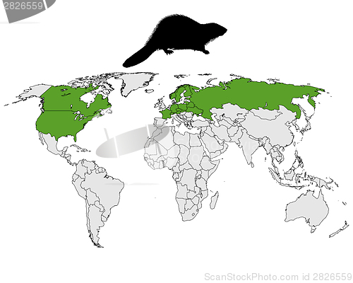 Image of Distribution beaver 