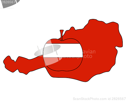 Image of Austrian apple
