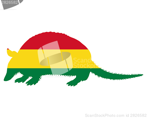 Image of Armadillo Bolivia