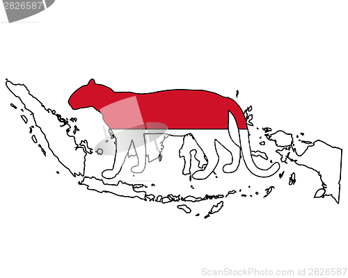 Image of Indonesia leopard