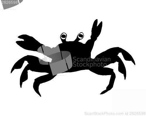 Image of Crab