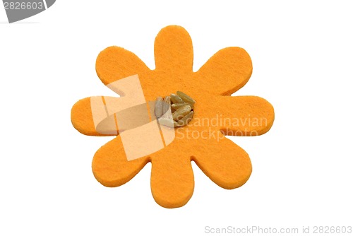 Image of Unripe spelt grain and felt decoration