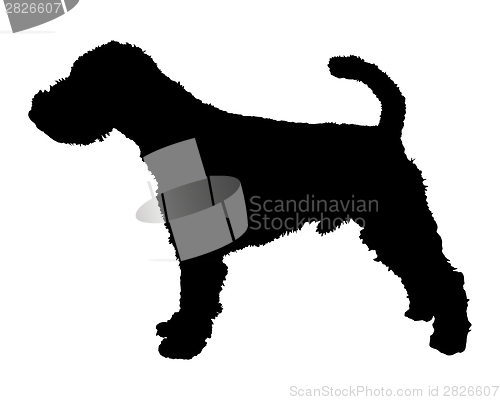 Image of Welsh Terrier