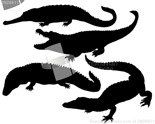 Image of Reptile Silhouette