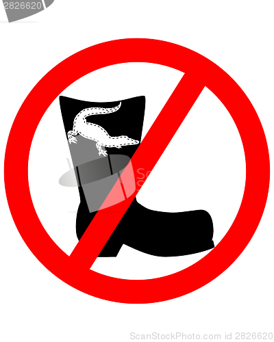 Image of Crocodile leather boots prohibited