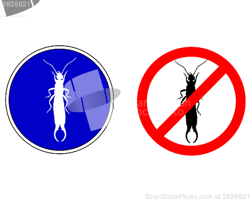 Image of Earwig silhouettes