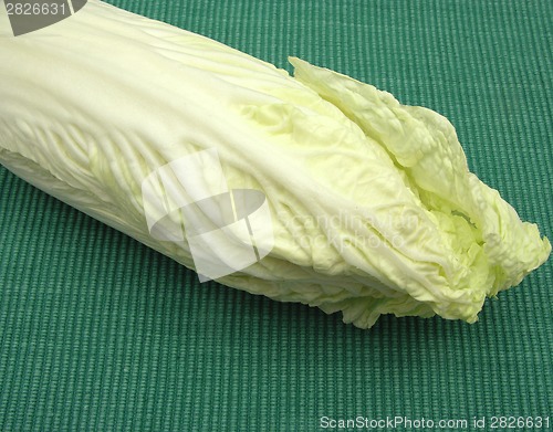 Image of Chinese cabbage on a green rough background