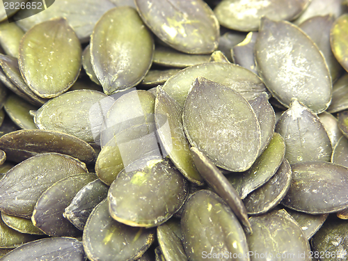 Image of A lot of pumpkin seeds in a close-up view