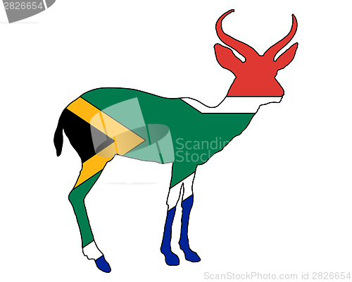 Image of South Africa antilope