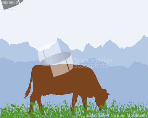 Image of Cow in the alpine meadow