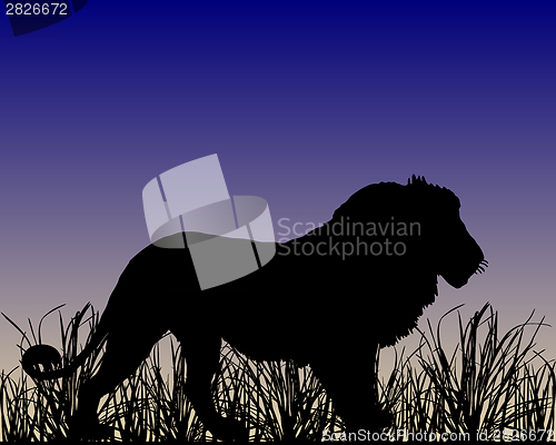 Image of Dawn in savanna with lion