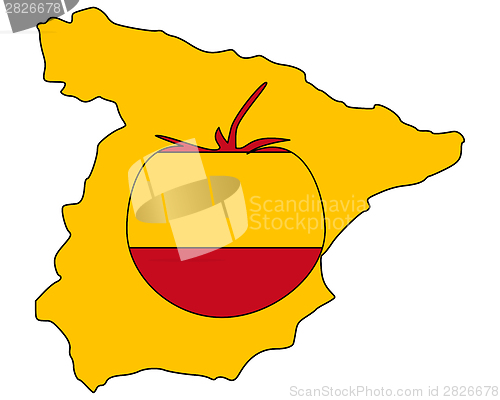 Image of Spanish tomato