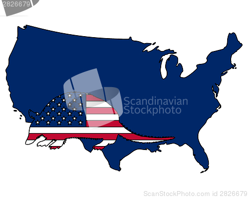 Image of Armadillo United States of America