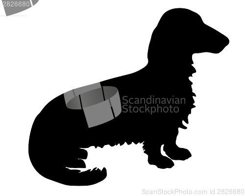Image of The black silhouette of a longhaired Badger Dog