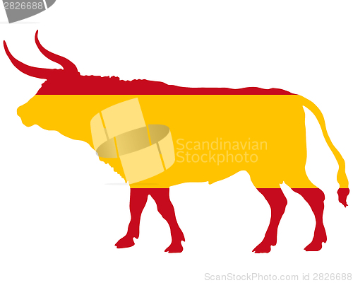 Image of Spanish bull