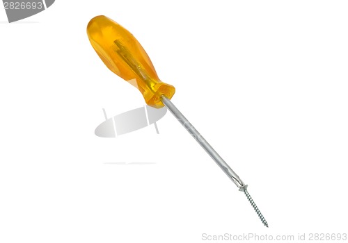 Image of Crosstip screwdriver with screw