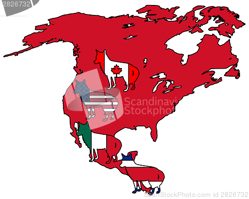 Image of Coyote America