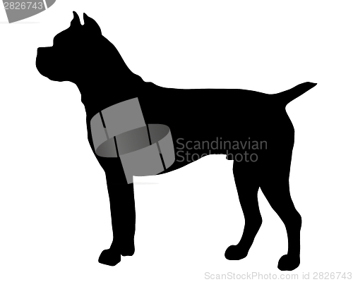 Image of The black silhouette of a German  Boxer dog