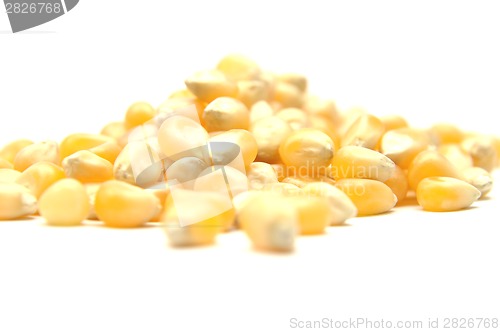 Image of Detailed but simple image of  popcorn on white