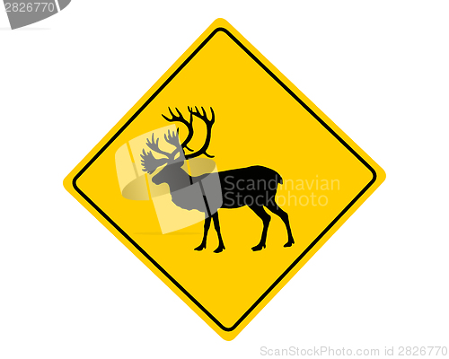 Image of Caribou warning sign