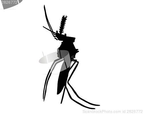 Image of The black silhouette of a mosquito on white