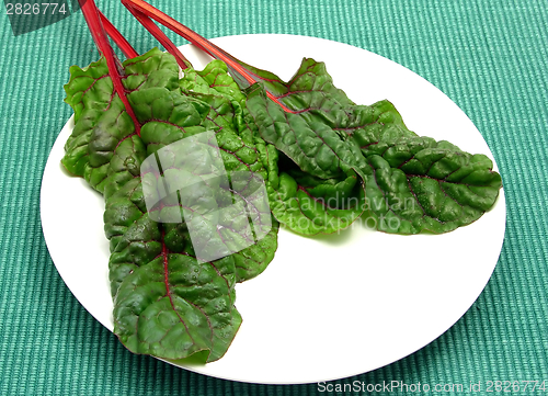 Image of Four red stemmed chard leaves on white plate