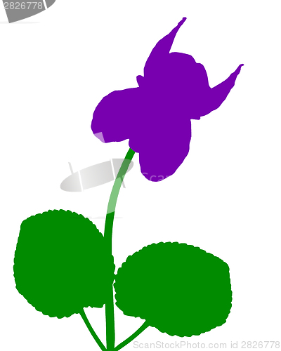 Image of Viola with leaves