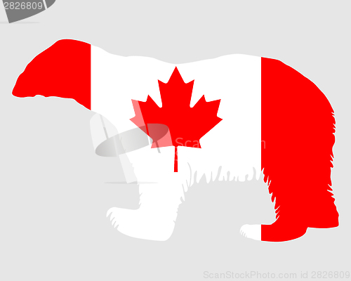 Image of Canadian polar bear